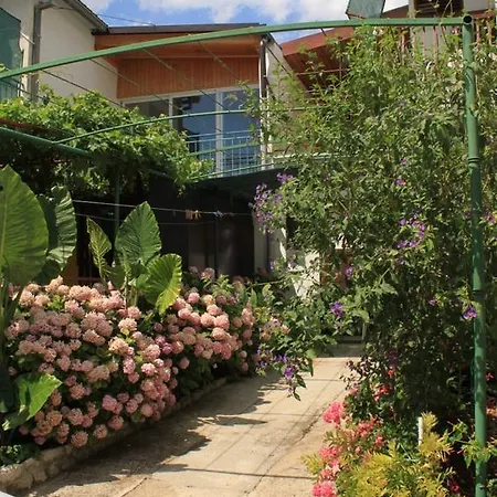 Zivogosce Mala Duba 2606a * Podgora (Split-Dalmatia)